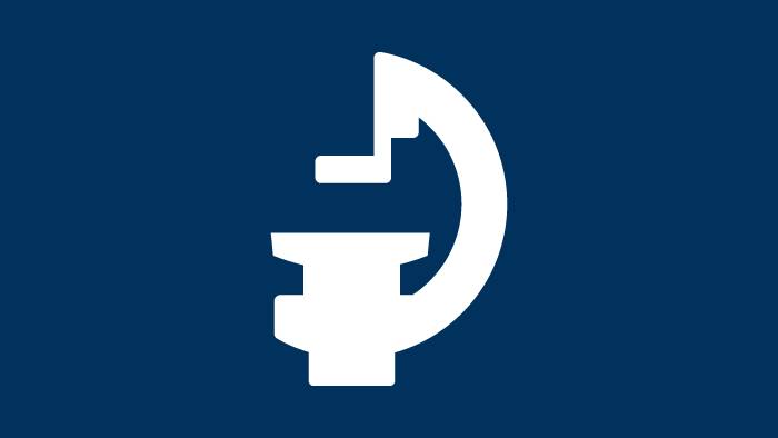 Bildgef&uuml;hrte Therapie