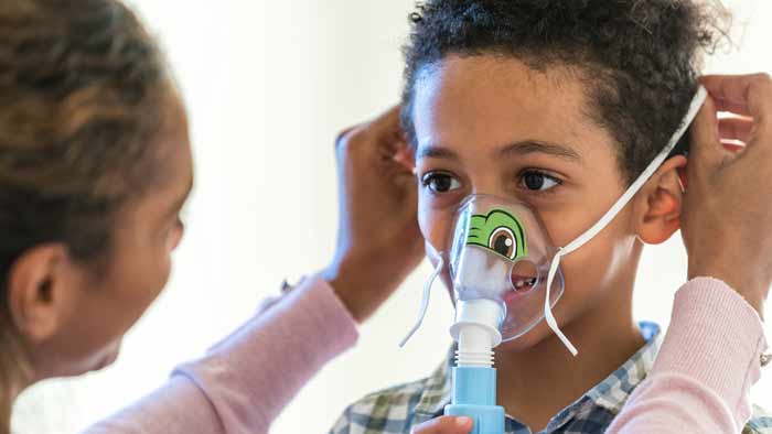 Tucker, die Schildkr&ouml;te