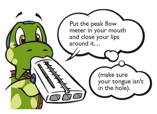 Le coin des enfants Sami&nbsp;the&nbsp;Seal