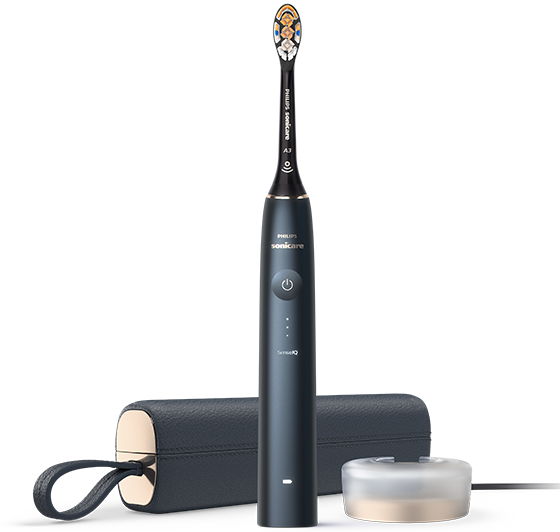Philips Sonicare / Airfloss GZG