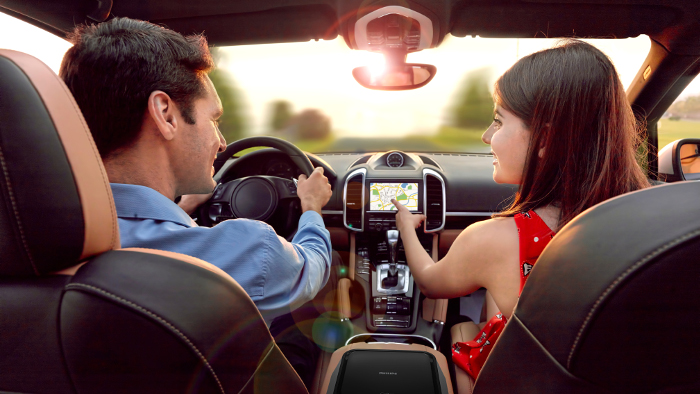 Entfernt giftige Gase