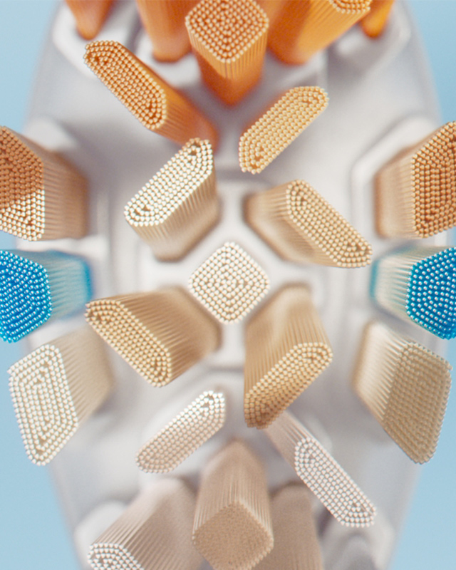 Une t&ecirc;te de brosse pour un soin complet