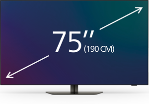 75-77-Zoll-Fernseher