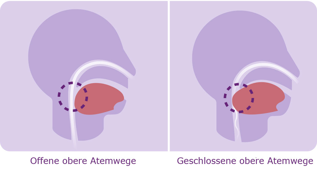 ein Diagramm des menschlichen Körpers