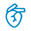 Symbol Kardiovaskul&auml;r
