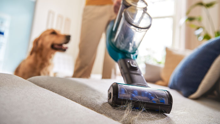 Katzen- und Hundehaare entfernen von B&ouml;den und M&ouml;beln