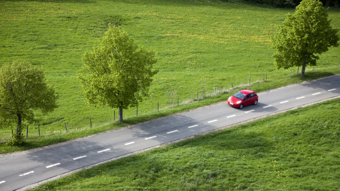 Stra&szlig;e, Wald