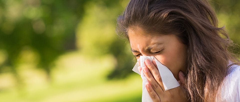 Allergene zu Hause &ndash; Pollenarten und wann sie auftreten