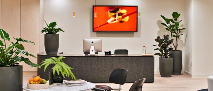 Professioneller Philips Monitor an der Rezeption
